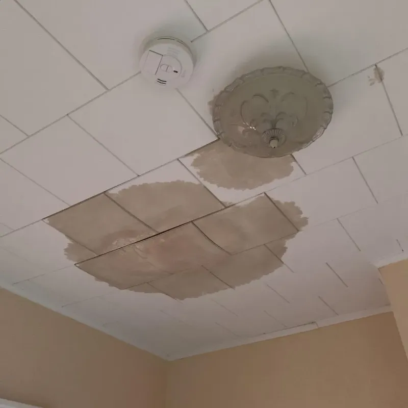 Ceiling Water Damage Repair in Summerset, SD