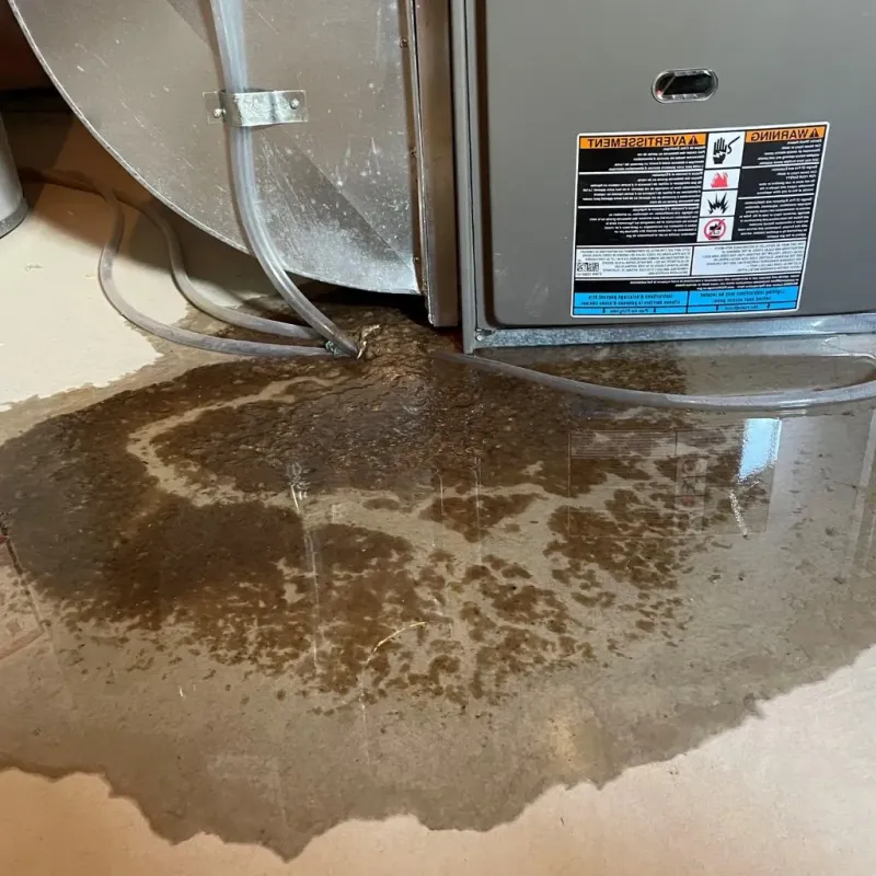 Pipe Burst and Leak Restoration in Summerset, SD